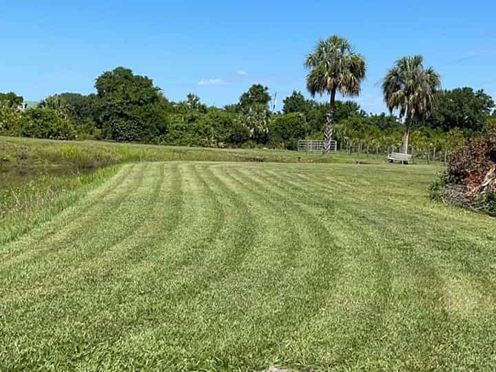 Large, freshly mown lawn of a Serenescapes Services  customer in Punta Gorda, FL.
